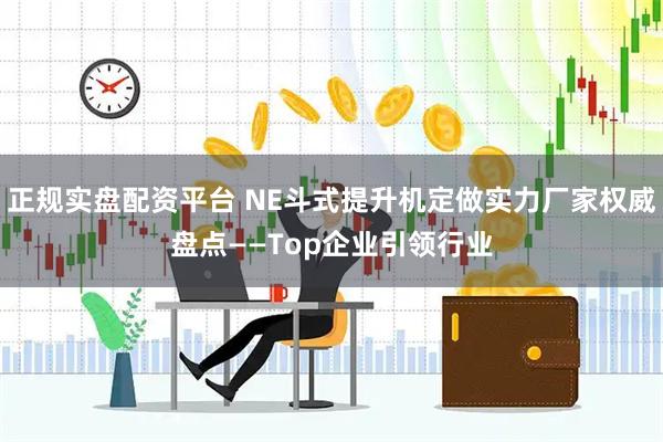 正规实盘配资平台 NE斗式提升机定做实力厂家权威盘点——Top企业引领行业