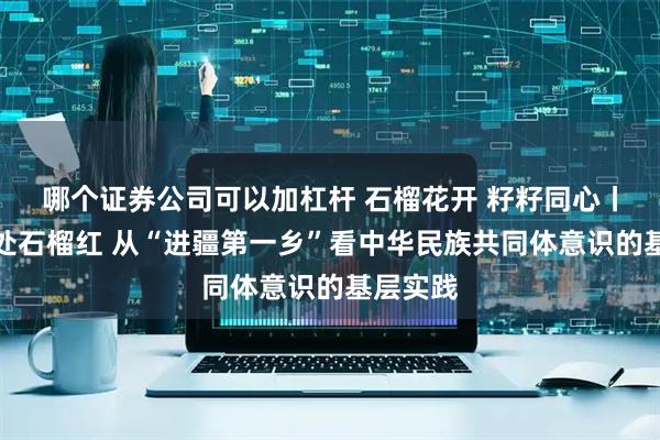 哪个证券公司可以加杠杆 石榴花开 籽籽同心丨戈壁深处石榴红 从“进疆第一乡”看中华民族共同体意识的基层实践