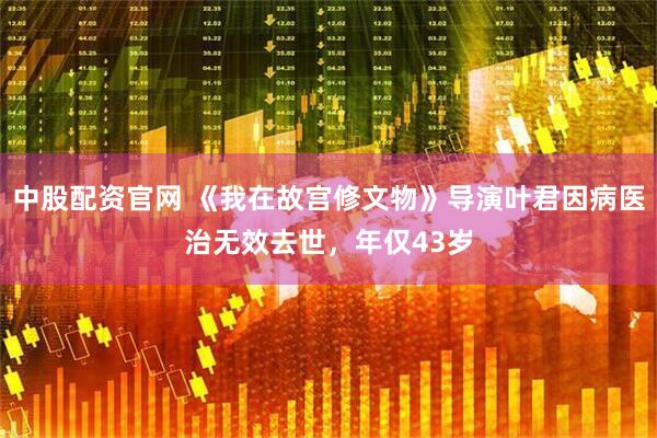 中股配资官网 《我在故宫修文物》导演叶君因病医治无效去世，年仅43岁